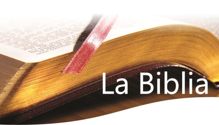 lea-la-biblia-cabecera