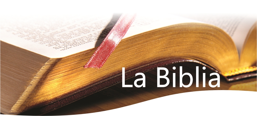 lea-la-biblia-cabecera